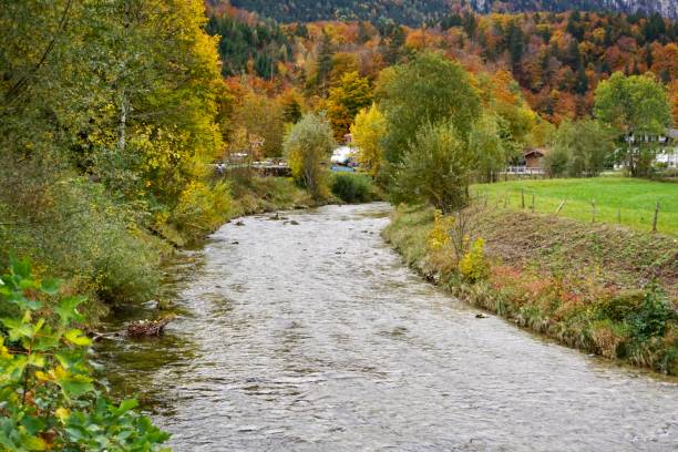 istock A small river flows through an autumn Bavarian village. The river flows through the autumn forest. River in autumn. 1775086072