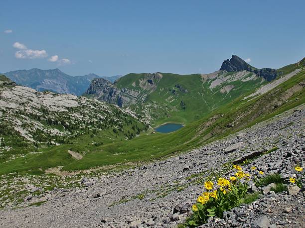 istock Summer In The Bernese Oberland 177508984