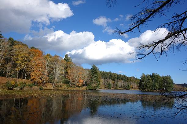 Brilliant blue sky in the NC Mountains stock photo