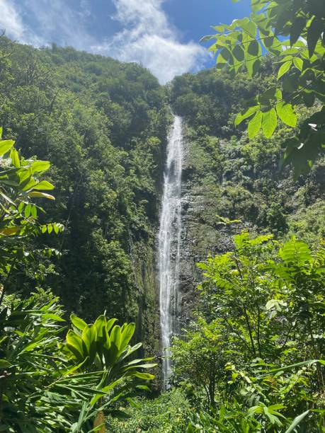 istock Waterfall in Maui, Hawaii 1775102340