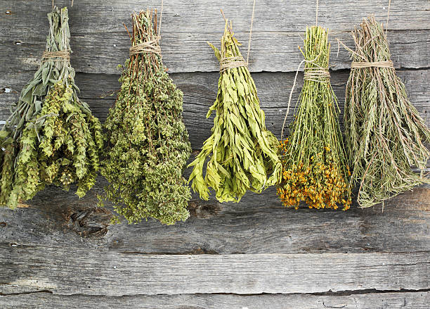 A variety of dried hanging herbs Variety of dried herbs on an old wooden wall rosemary dry spice herbal medicine stock pictures, royalty-free photos & images