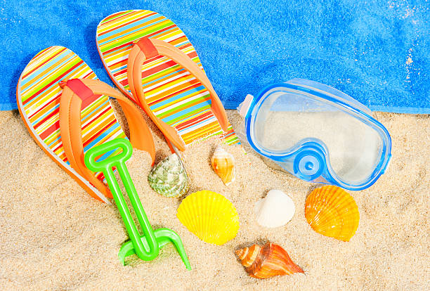 Seashells and diving mask on the beach stock photo