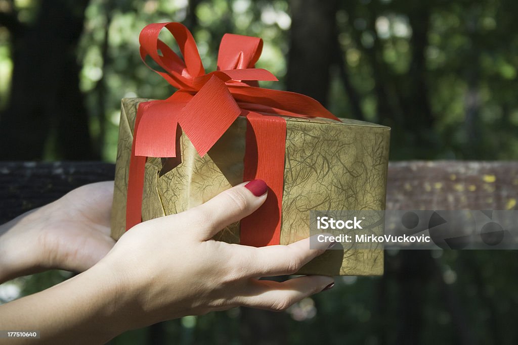 Female hands with gift box Hands holding - giving a gift box Adult Stock Photo