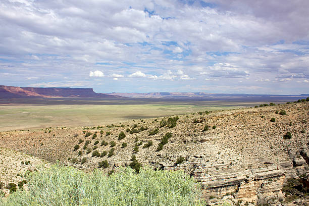 istock Northern Arizona Desert Landscape 177510658