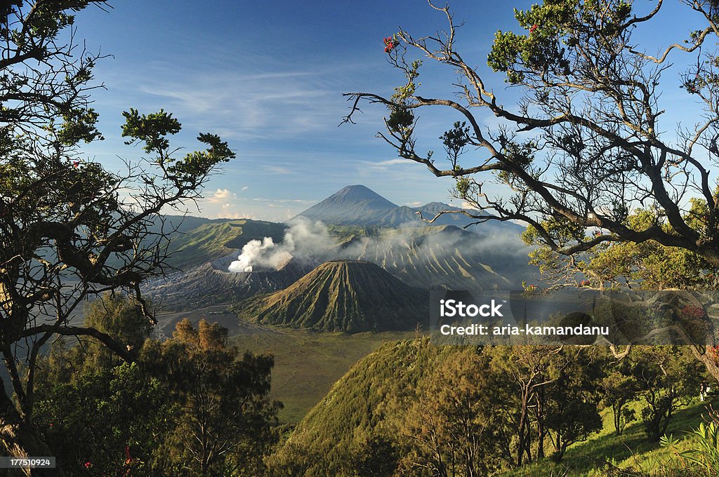 "Bromo" "Mt Bromo is a scenic tourist destination in East Java, Indonesia. The volcano is noted for its spectacular sunrises, and majestic views across to Semeru volcano to the south." Active Volcano Stock Photo