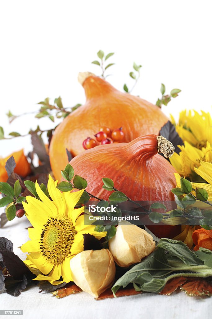 Herbst Dekoration mit Kürbisse und Sonnenblumen - Lizenzfrei Ast - Pflanzenbestandteil Stock-Foto