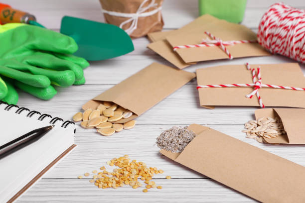 Planting vegetable seeds on a white background. Top view. Packets of seeds. Preparing for the gardening season.