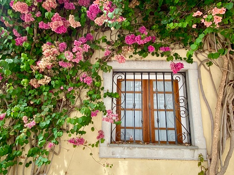 Portugal - Algarve - Olhao- little alley in the old town