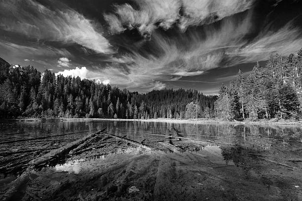 istock peaceful lake - contrasty black and white 177512127