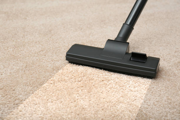 istock Vacuuming dirty beige carpet. Clean area after using device, closeup 1775122719