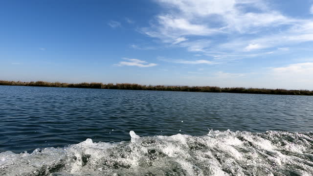 Aveiro Lagoon