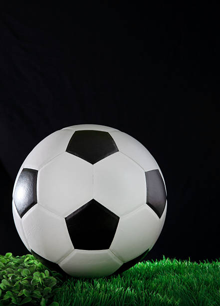 istock soccer football on green grass 177512543