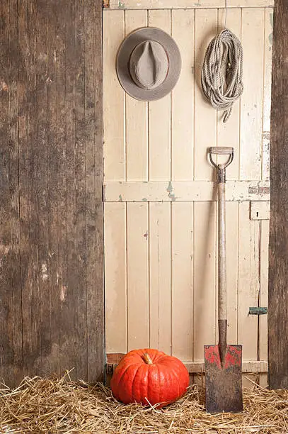 "cowboy hat hanging on a barn door,  spade and pumkins"