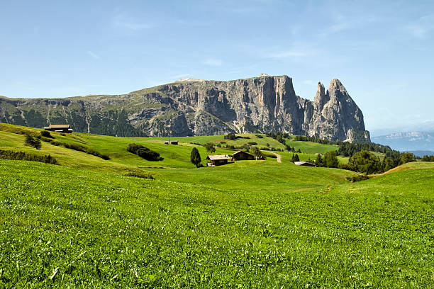 Seiser Alm (Siusi Alp) - Dolomites (Italy) - Panorama of Sciliar Group during the summer time