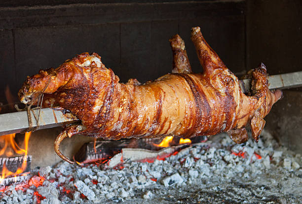 golden ganze gebratene schwein auf einer landzunge - pig roasted spit roasted domestic pig stock-fotos und bilder