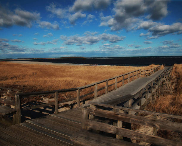 beach boardwalk im winter - beach boardwalk grass marram grass stock-fotos und bilder