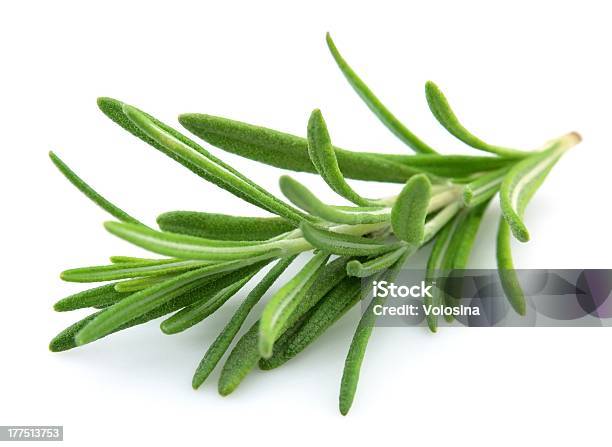 Close Up Of Fresh Twig Of Rosemary On White Background Stock Photo - Download Image Now