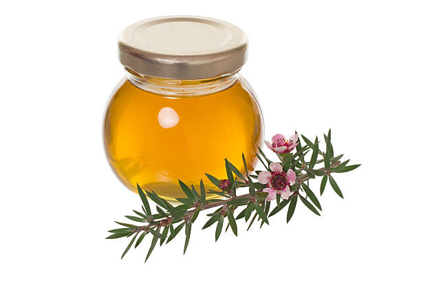 słoik miodu z drzewa manuka (herbata lub leptospermum) flower - manuka zdjęcia i obrazy z banku zdjęć