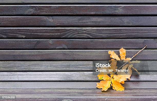 Yellow Leaves And Bench Stock Photo - Download Image Now - Autumn, Backgrounds, Bench
