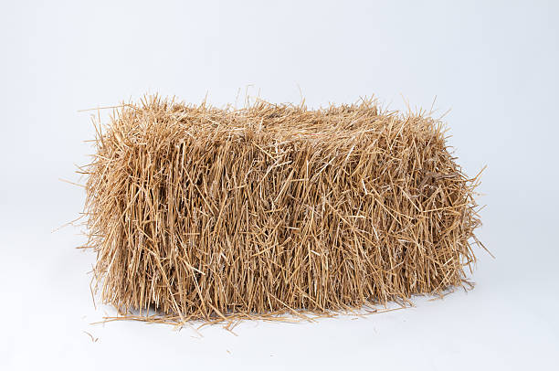 istock Bale of Hay 177514365
