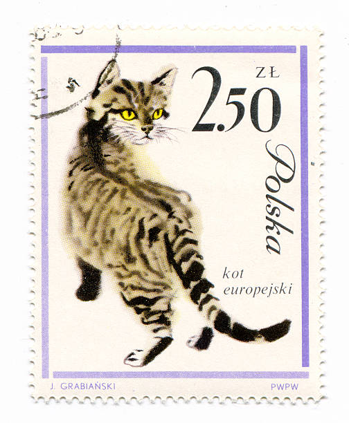 istock European cat on a vintage, canceled post stamp from Poland 177514559