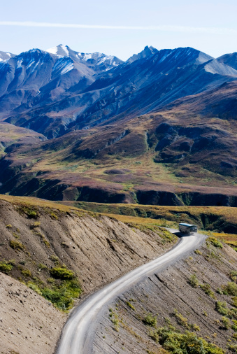 The green Denali tour bus rounding a corner on the dirt road that travels through the park.