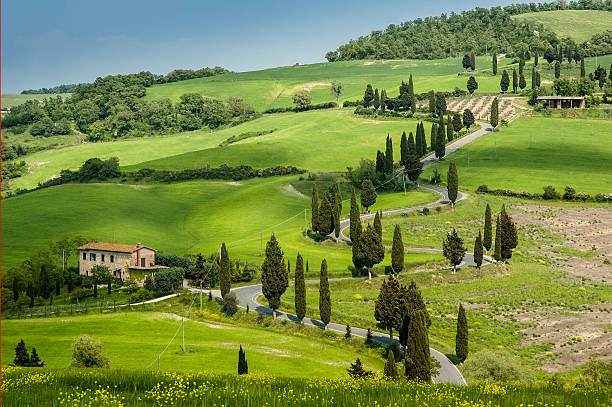 istock Landscape in Tuscany 177514985
