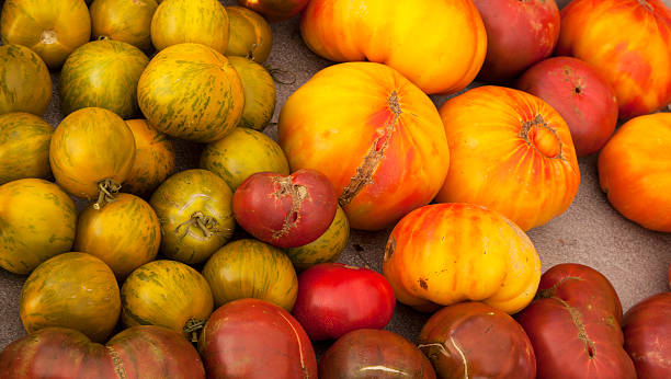 istock Colorful Heirloom Tomatoes 177515290