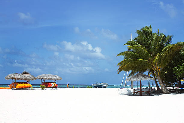 istock Coconut trees and beach couches with blue sky 177516200