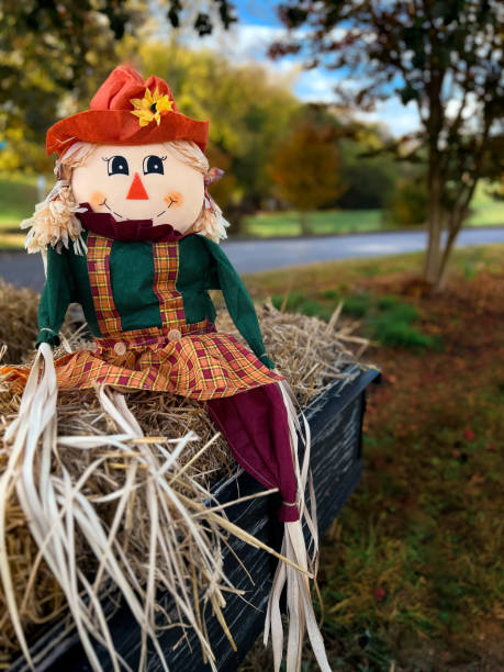 istock Autumn seasonal scarecrow dressed in Fall colors 1775163885