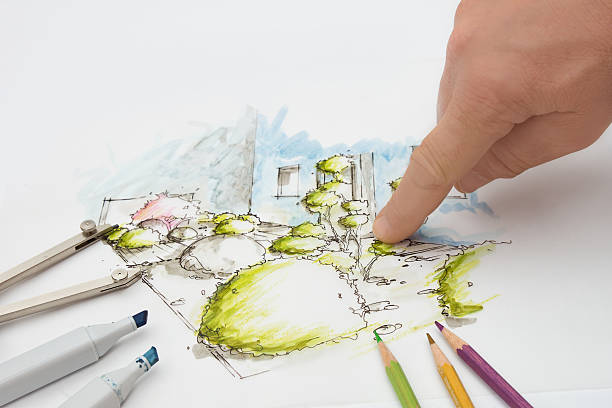 istock Landscape Architect showing Detail on Design Sketch 177516666