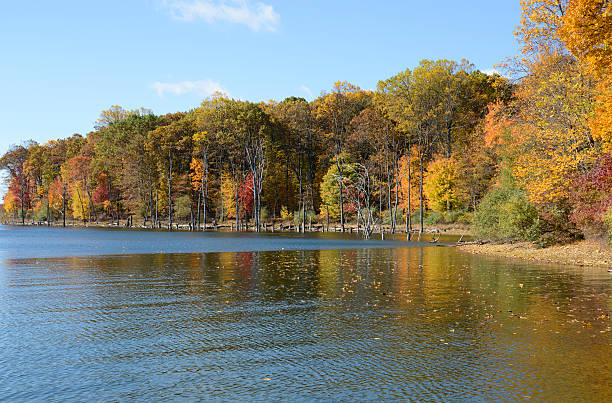 istock Merrill Creek reservoir in the autumn 177516703