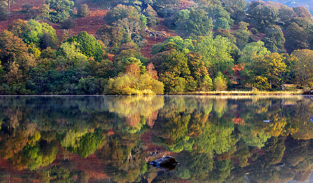 istock Fall on the Banks of Rydal Water 177516833