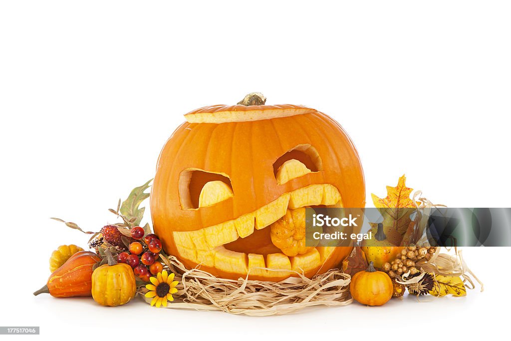 Halloween pumpkins Halloween pumpkins isolated on white background Autumn Stock Photo