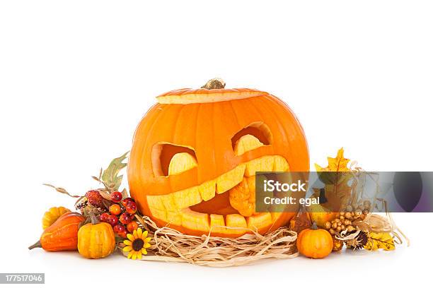 Halloween Pumpkins Stock Photo - Download Image Now - Autumn, Celebration Event, Cut Out