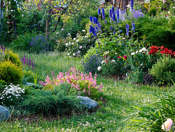 istock Flower garden in summer 177517301