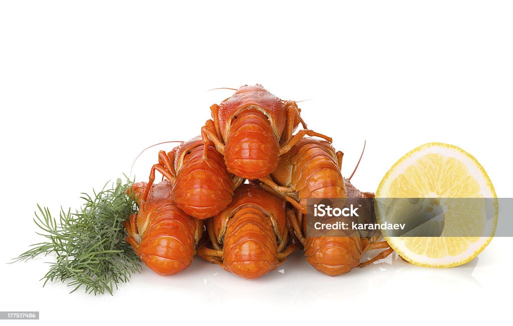 Варёный crayfishes с лимонная долька и укропом - Стоковые фото Без людей роялти-фри