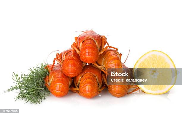 Варёный Crayfishes С Лимонная Долька И Укропом — стоковые фотографии и другие картинки Без людей - Без людей, Белый фон, Варёный