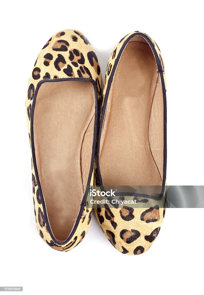 Animal Print Womens Flat Shoes Stock Photo - Download Image Now - Animal Pattern, Beauty, Cut Out - iStock Animal Print Womens Flat Shoes Stock Photo - Download Image Now - Animal Pattern, Beauty, Cut Out - iStock