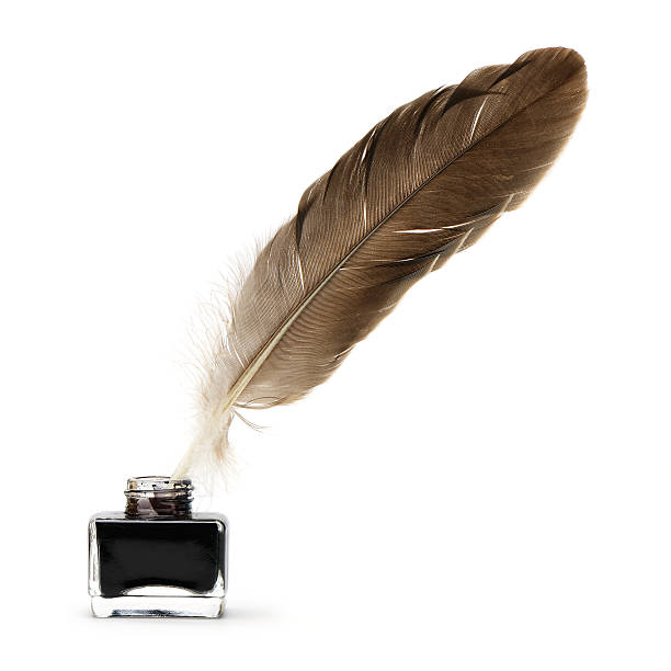 Feather pen into the inkwell. Isolated on a white background.