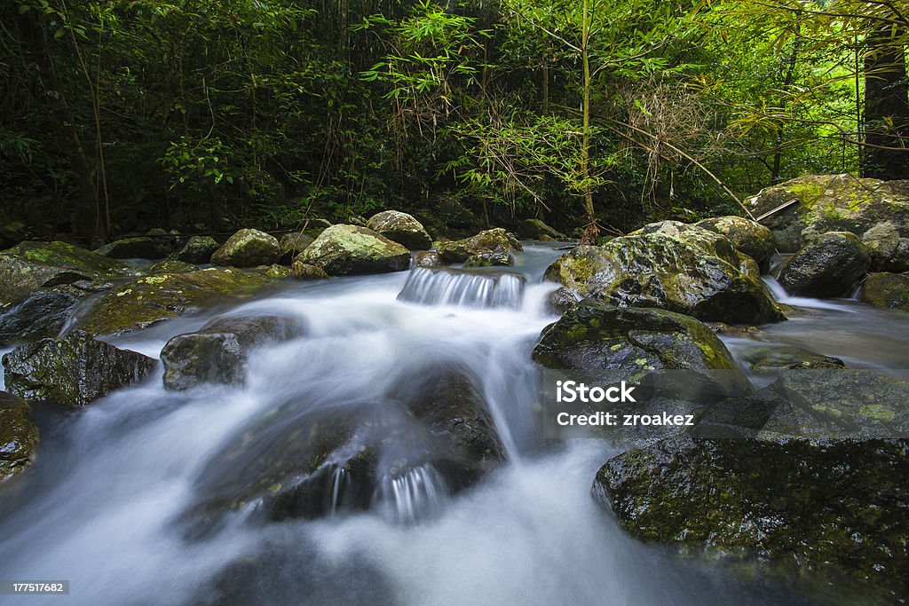 Splendida cascata - Foto stock royalty-free di Albero