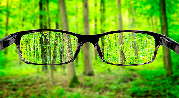 istock Blurred forest background and clear view within eye glasses 177517981