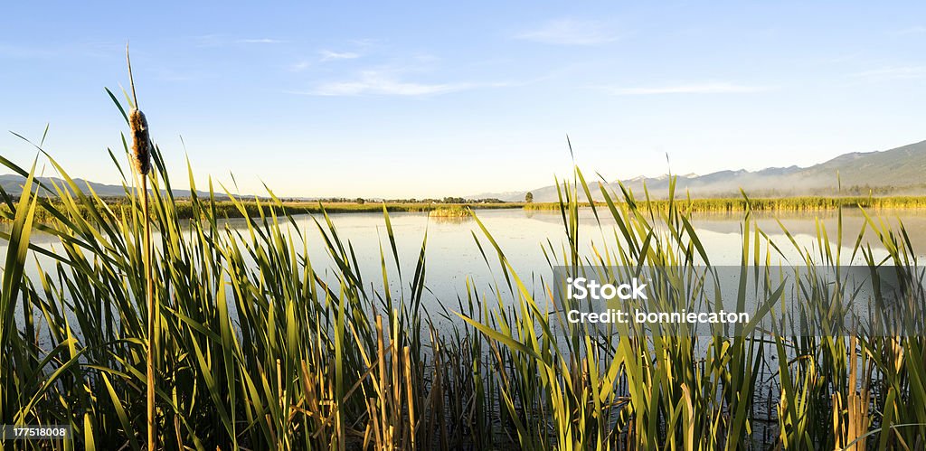 Lee Metcalf Wildlife Refuge Sunrise in the reeds at Lee Metcalf National Wildlife Refuge Missoula Stock Photo