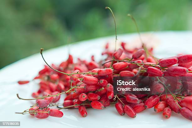 Barberry Stock Photo - Download Image Now - Barberry Family, Beauty In Nature, Berry Fruit