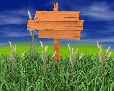 sign wooden board with background with blue sky lawn