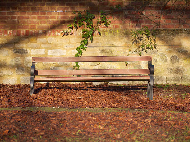 Wooden Park Bench stock photo