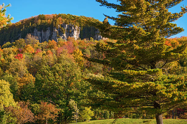 istock Fall in Glen Eden conservation area  Milton, Ontario 177518320