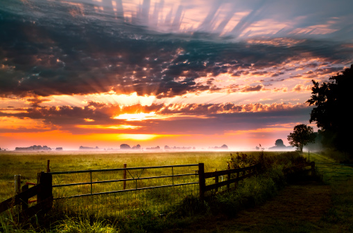 colorful sunrise over rural pasture in Groningen