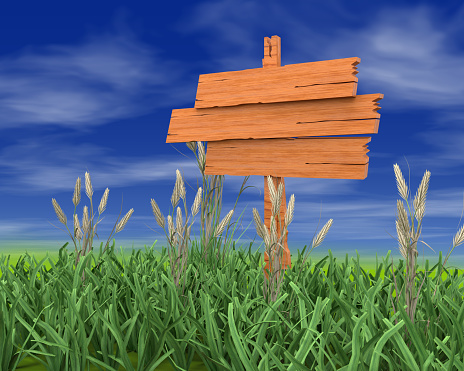 sign wooden board with background with blue sky lawn