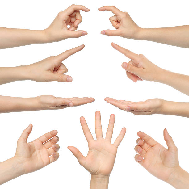 istock Collage of woman hands 177518640